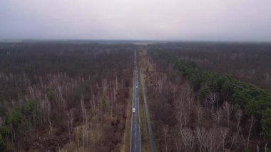 Kışın sisli bir ormandan geçen düz bir yolun havadan görünüşü. statik üç ayaklı insansız hava aracı 
