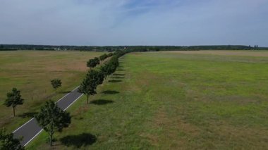 Yol, ağaçlar ve ekilmiş tarlaları olan kırsal bir arazinin havadan görünüşü. İHA alçalıyor 