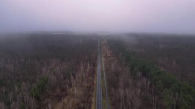 Kışın sisli bir ormandan geçen düz bir yolun havadan görünüşü. hız rampası hiper hareket zaman aşımı 