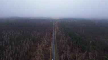 Kışın sisli bir ormandan geçen düz bir yolun havadan görünüşü. İHA alçalıyor 