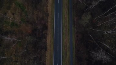 Karanlık bir asfalt yolda, gizemli bir ormanı geçen yalnız beyaz bir arabanın hava görüntüsü. Drone 'u yukarı eğ 