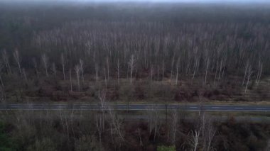 Karanlık ve kasvetli bir atmosferde sisli bir ormanın yakınındaki yolda araba sürüyordu. Yukarıdan insansız hava aracı görüntüleri 