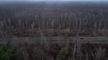 Karanlık ve kasvetli bir atmosferde sisli bir ormanın yakınındaki yolda araba sürüyordu. uçuş üstü insansız hava aracı 
