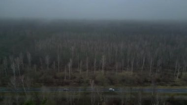 Karanlık ve kasvetli bir atmosferde sisli bir ormanın yakınındaki yolda araba sürüyordu. Takip uçuş dronu 