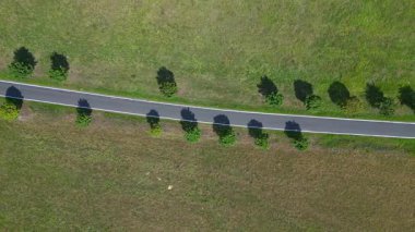 Ağaçlar ve tarlalarla dolu kırsal bir araziden geçen boş bir asfalt yolun havadan görünüşü. Yukarıdan aşağıya doğru uçur 