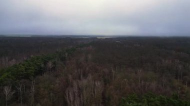 Kışın sisli bir ormandan geçen düz bir yolun havadan görünüşü. İHA yükseliyor 