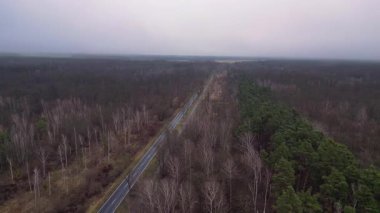 Kışın sisli bir ormandan geçen düz bir yolun havadan görünüşü. Drone görüntülerini daire içine al 