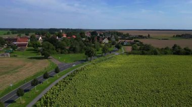 Almanya 'nın Brandenburg kentinde güneşli bir yaz gününde geniş tarım sahalarının ortasına kurulmuş küçük bir köy olan Tarmow' un Idyllic manzarası. İHA alçalıyor 