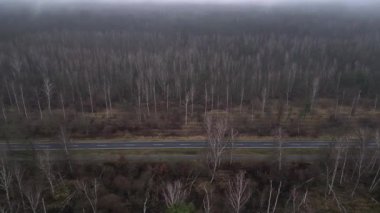 Karanlık ve kasvetli bir atmosferde sisli bir ormanın yakınındaki yolda araba sürüyordu. Dolly sol İHA 