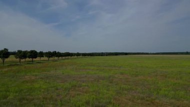 Yol, ağaçlar ve ekilmiş tarlaları olan kırsal bir arazinin havadan görünüşü. Dolly sol İHA 
