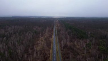 Kışın sisli bir ormandan geçen düz bir yolun havadan görünüşü. Ters İHA uçuşu 