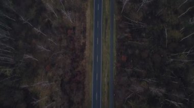 Karanlık bir asfalt yolda, gizemli bir ormanı geçen yalnız beyaz bir arabanın hava görüntüsü. Drone 'u yukarı eğ 