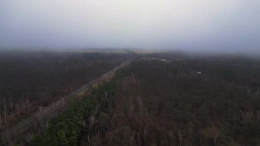 Kışın sisli bir ormandan geçen düz bir yolun havadan görünüşü. Dolly sol İHA 