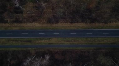 Karanlık bir asfalt yolda, gizemli bir ormanı geçen yalnız beyaz bir arabanın hava görüntüsü. Yukarıdan insansız hava aracı görüntüleri 