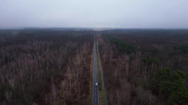 Kışın sisli bir ormandan geçen düz bir yolun havadan görünüşü. Takip uçuş dronu 