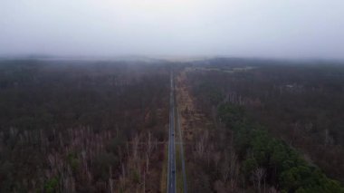 Kışın sisli bir ormandan geçen düz bir yolun havadan görünüşü. İticileri ileri çalıştır 