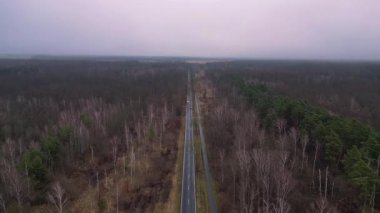 Kışın sisli bir ormandan geçen düz bir yolun havadan görünüşü. Ters İHA uçuşu 
