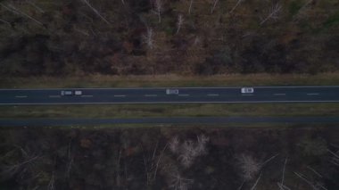 Karanlık bir asfalt yolda, gizemli bir ormanı geçen yalnız beyaz bir arabanın hava görüntüsü. dikey kuş bakışı dron 