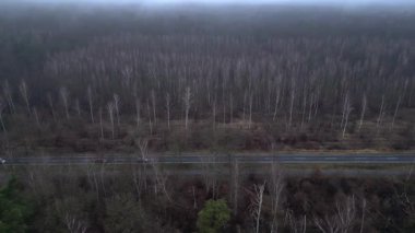 Karanlık ve kasvetli bir atmosferde sisli bir ormanın yakınındaki yolda araba sürüyordu. Yukarıdan insansız hava aracı görüntüleri 