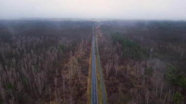 Kışın sisli bir ormandan geçen düz bir yolun havadan görünüşü. uçuş üstü insansız hava aracı 