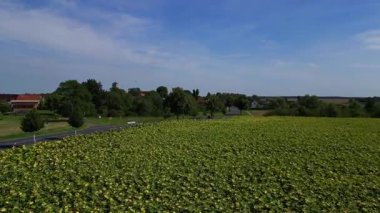 Almanya 'nın Brandenburg kentinde güneşli bir yaz gününde geniş tarım sahalarının ortasına kurulmuş küçük bir köy olan Tarmow' un Idyllic manzarası. İticileri ileri çalıştır 