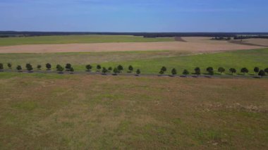 Kırsal bir yolda mavi gökyüzünün altındaki geniş tarlalardan geçen arabaların hava görüntüsü. panorama genel görünüm dronu 
