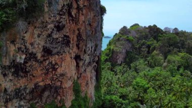 Tayland, Krabi 'deki verimli tropikal orman bitkisine bakan bir uçurumdan Railay sahilinin nefes kesici manzarası. doly sağ drone 