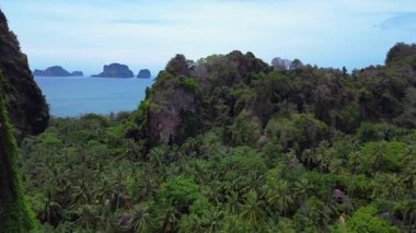 Tayland, Krabi 'deki verimli tropikal orman bitkisine bakan bir uçurumdan Railay sahilinin nefes kesici manzarası. Yukarıdan insansız hava aracı görüntüleri 