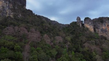 Tayland 'ın Krabi kentindeki tropikal ormandan yükselen yüksek kireçtaşı kayalıklarının havadan görünüşü. İHA 'yı çek 