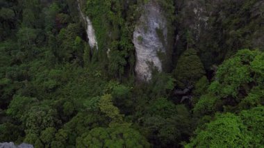 Tayland 'ın Krabi kentindeki tropikal ormandan yükselen yüksek kireçtaşı kayalıklarının havadan görünüşü. İHA 'yı eğ 