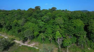 Kamboçya 'daki Koh Rong adasını kaplayan turkuaz deniz, beyaz kum plajlarını ve yeşil yağmur ormanlarını gösteriyor. hız rampası hiper hareket zaman aşımı 