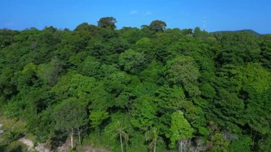 Kamboçya 'daki Koh Rong adasını çevreleyen yeşil yağmur ormanlarını gösteren tropik bir manzara. uçuş üstü insansız hava aracı 