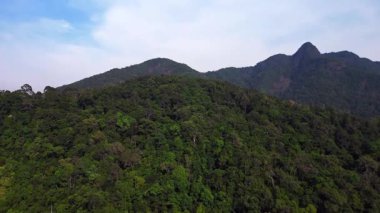 Tropikal yağmur ormanlarında dağ yamaçlarını kaplayan yoğun ormanın havadan görünüşü. İHA 'yı eğ 