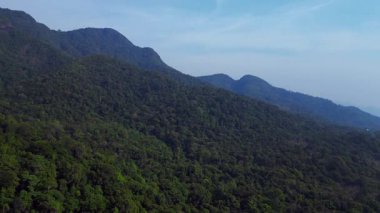 Tropikal yağmur ormanlarında dağ yamaçlarını kaplayan yoğun ormanın havadan görünüşü. Sol İHA 'ya dön 