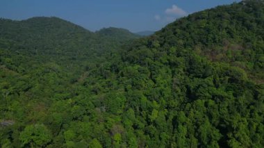 Koh Chang köyünün hava manzarası verimli tropikal ormanlar ve plaj otellerini yüzme havuzlarıyla ayırıyor. panorama genel görünüm dronu 