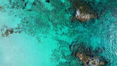 Formentera, canlı turkuaz su ve su altı Posidonia okyanus yatakları ile dolu. İHA kamerası aşağıya bakıyor 