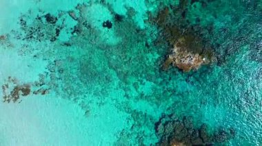 Formentera, canlı turkuaz su ve su altı Posidonia okyanus yatakları ile dolu. dikey kuşların göz teması uçuş üstü insansız hava aracı 