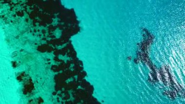 Formentera, canlı turkuaz su ve su altı Posidonia okyanus yatakları ile dolu. Drone 'u yukarı eğ 