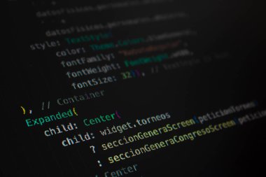 Sistemin özel bir eylemi gerçekleştirmesi için programlama kodu ekranda çalıştırılıyor