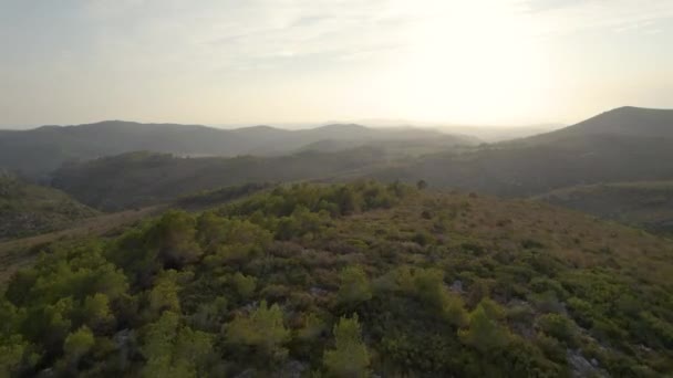 Εναέρια Drone View Πτήση Πάνω Από Δέντρο Δάσος Στο Βουνό — Αρχείο Βίντεο