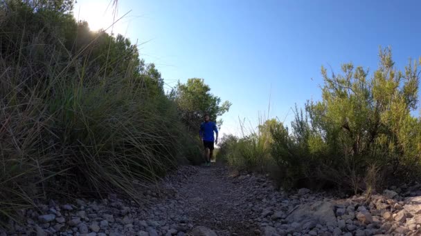 Camera Low Position Filming Young Man Hiking Exploring Forest Area — Stock video