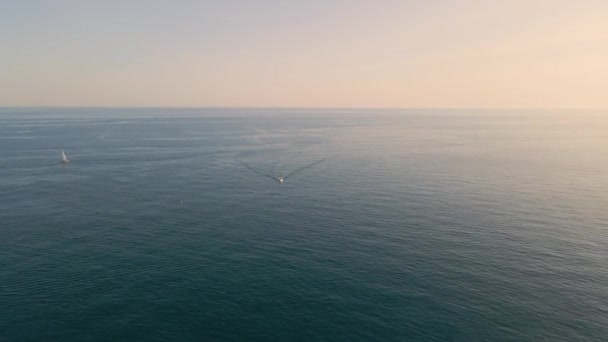Закат Воздушного Дрона Видео Спокойной Поверхности Моря Скоростной Катер Голубом — стоковое видео