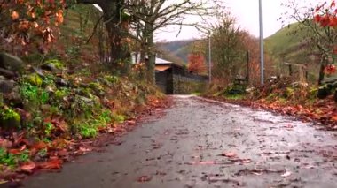 Sidewalk covered with autumn leaves in residential neighborhood. High quality 4k footage