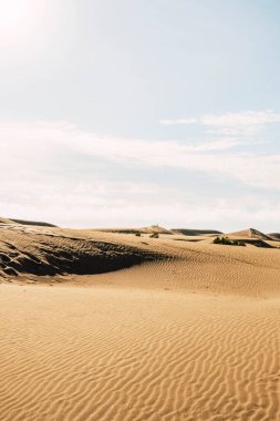 Desert sand dunes at Mas Palomas, Gran Canaria, canary islands in a cloudy day