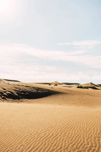 Desert sand dunes at Mas Palomas, Gran Canaria, canary islands in a cloudy day