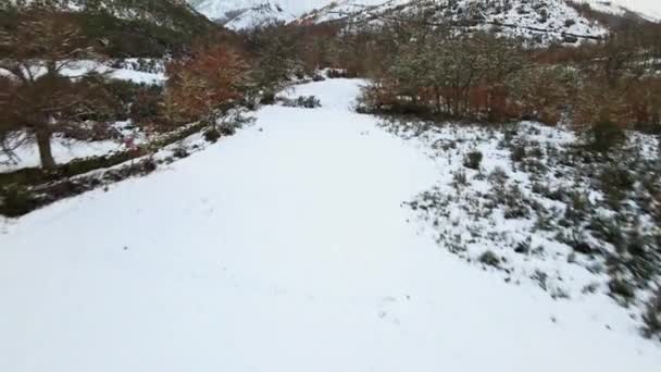 Imágenes Drones Invierno Del Paisaje Montañas Nieve Ancares España Bajo — Vídeos de Stock