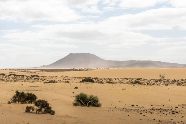 Fuerteventura 'da çöl kum tepeleri, bulutlu bir günde kanarya adaları.
