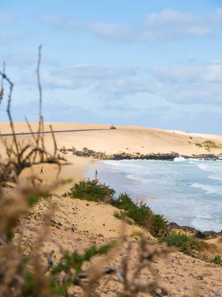 stock image Surfers in the distance. Savage seascape with waves in the desert sand beach