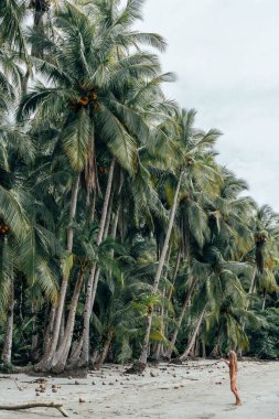 Sarışın kadın cennette vahşi tropik palmiye ağacı sahilinde. Panama 'da seyahat tatili. Kopyalama alanı için pankart mahsulü. 