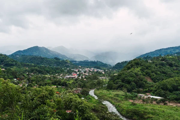 stock image Jungle forest with tropical trees. Mood Weather rain. Bajo Boquete, Panama